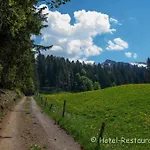 Baeren Hotel 2*