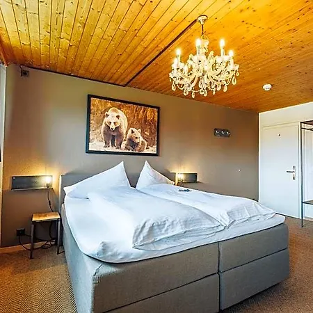 Baeren Hotell 2*