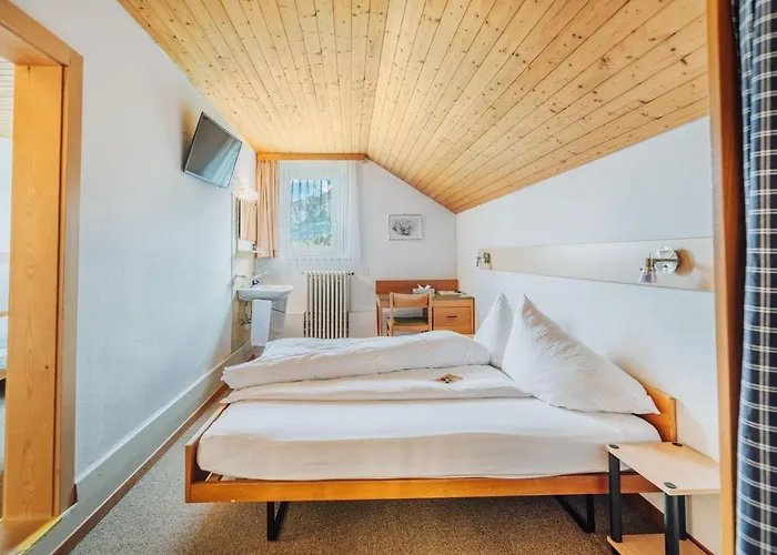 Hotell Baeren Hasliberg